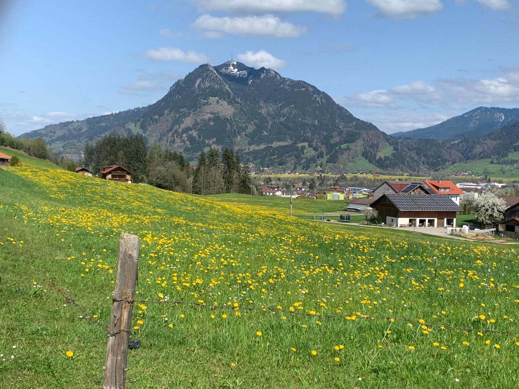 Ferienwohnungen Probst Ofterschwang Buitenkant foto