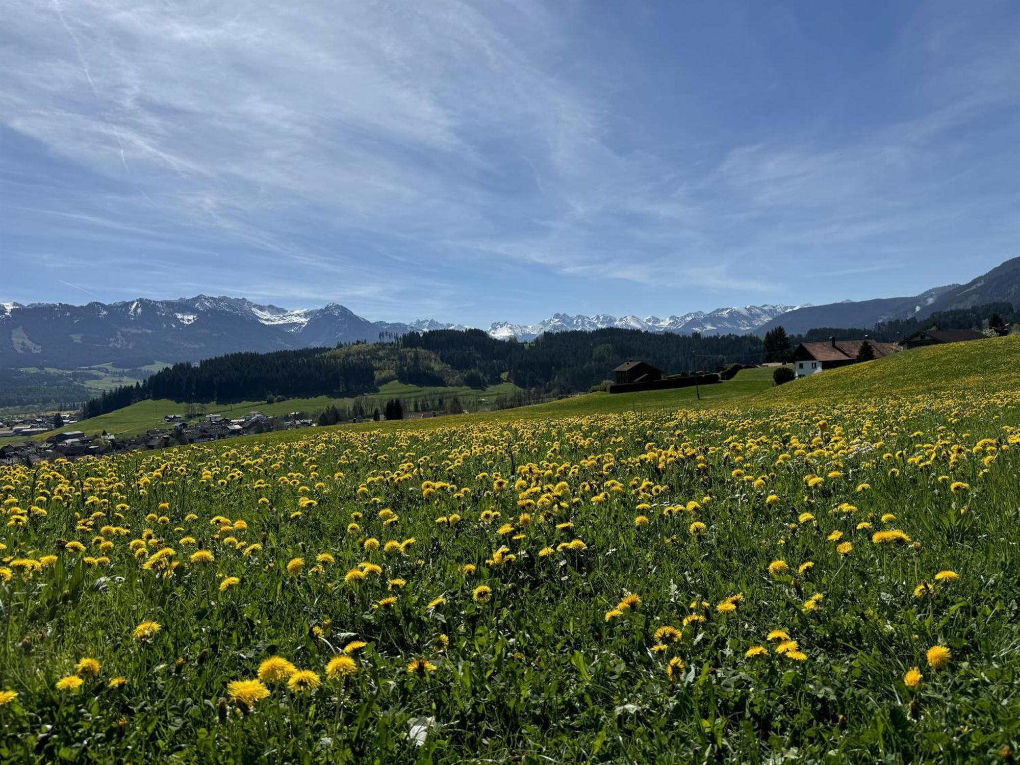 Ferienwohnungen Probst Ofterschwang Buitenkant foto