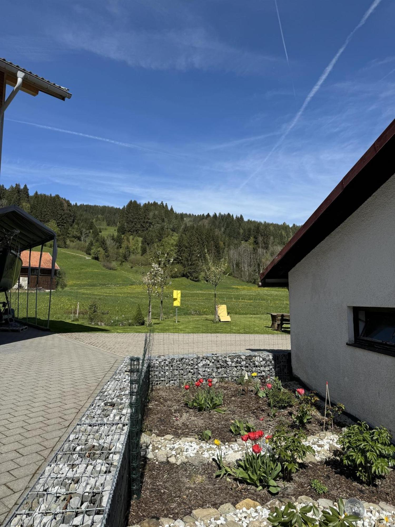 Ferienwohnungen Probst Ofterschwang Buitenkant foto