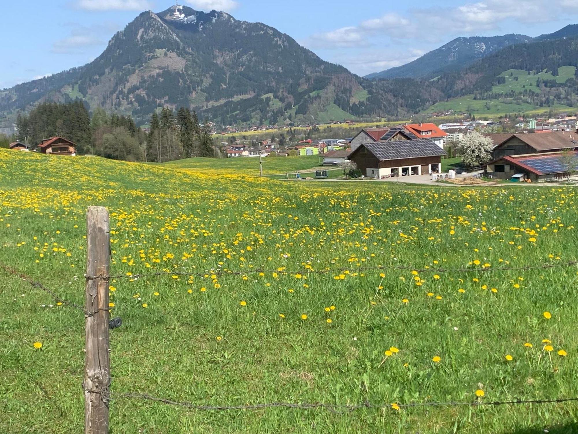 Ferienwohnungen Probst Ofterschwang Buitenkant foto